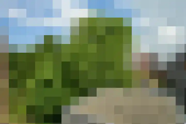 Laan van Nieuw-Oost-Indië 30 Den Haag thumbnail 35