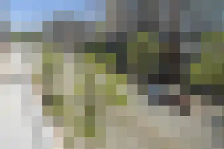 Laan van Nieuw-Oost-Indië 30 Den Haag thumbnail 46