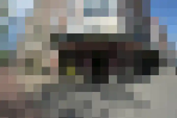Laan van Nieuw-Oost-Indië 30 Den Haag thumbnail 52