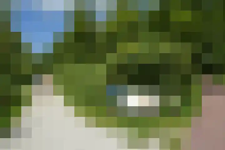 Laan van Nieuw-Oost-Indië 30 Den Haag thumbnail 53