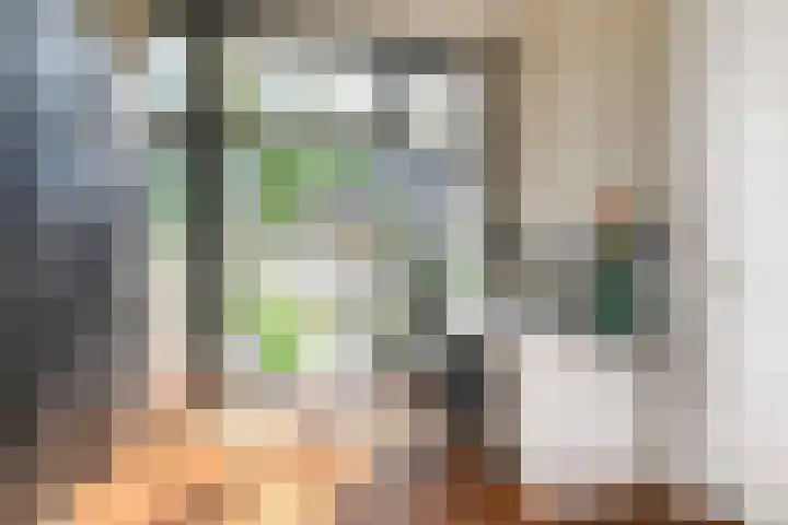 Laan van Nieuw-Oost-Indië 4 C Den Haag thumbnail 20