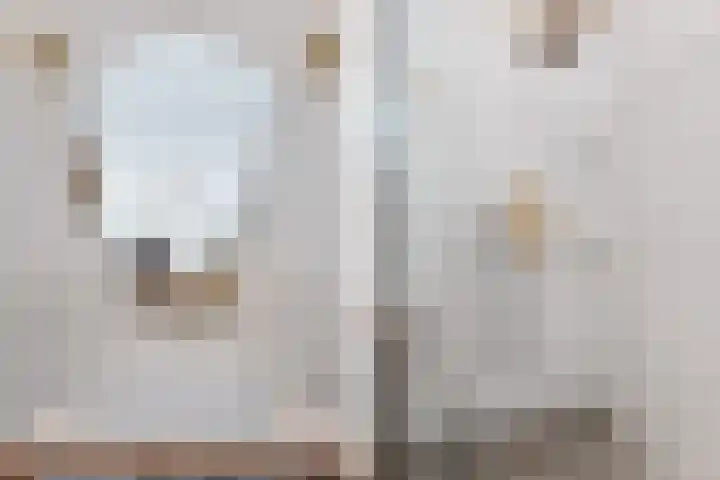 Laan van Nieuw-Oost-Indië 4 C Den Haag thumbnail 5