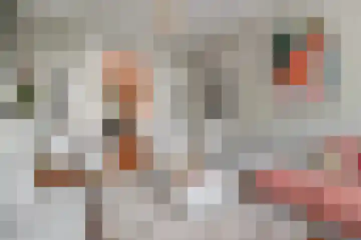 Laan van Nieuw-Oost-Indië 4 C Den Haag thumbnail 50