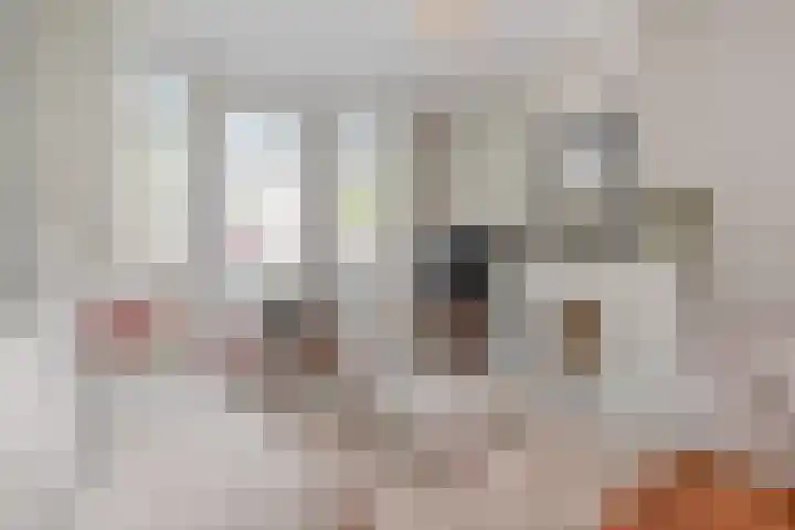 Laan van Nieuw-Oost-Indië 4 C Den Haag thumbnail 9