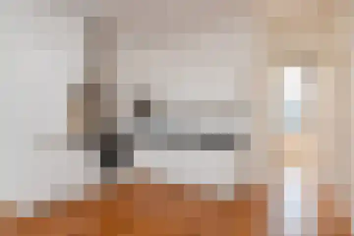 Laan van Nieuw-Oost-Indië 44 Den Haag thumbnail 9