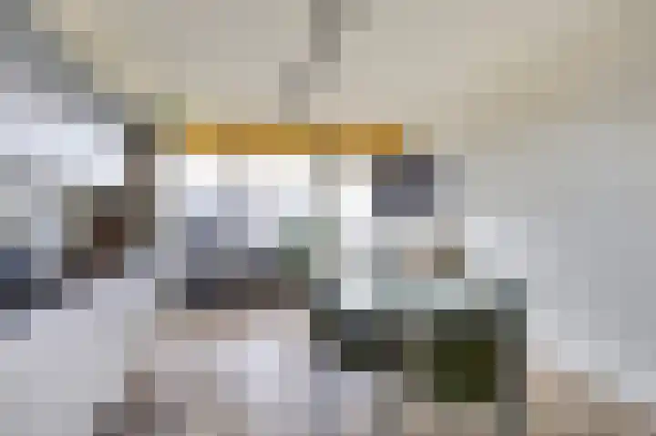 Laan van Nieuw-Oost-Indië 53 Den Haag thumbnail 12