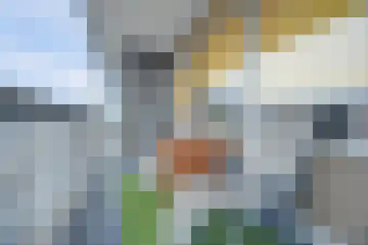 Laan van Nieuw-Oost-Indië 53 Den Haag thumbnail 15
