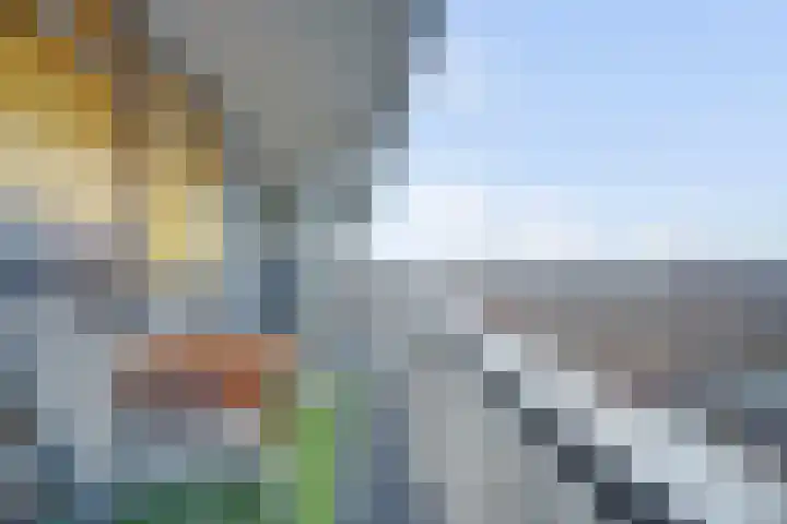 Laan van Nieuw-Oost-Indië 53 Den Haag thumbnail 16