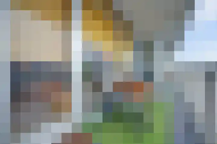 Laan van Nieuw-Oost-Indië 53 Den Haag thumbnail 17