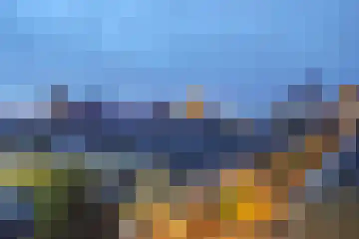 Laan van Nieuw-Oost-Indië 53 Den Haag thumbnail 21