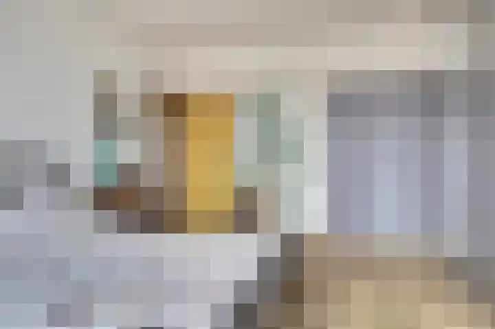 Laan van Nieuw-Oost-Indië 53 Den Haag thumbnail 25