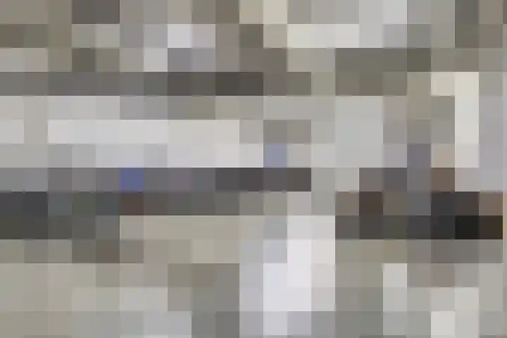 Laan van Nieuw-Oost-Indië 53 Den Haag thumbnail 35