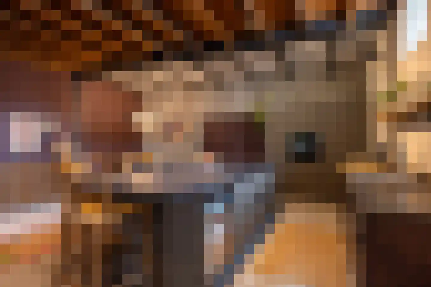 Laan van Nieuw-Oost-Indië 53 Den Haag thumbnail 39