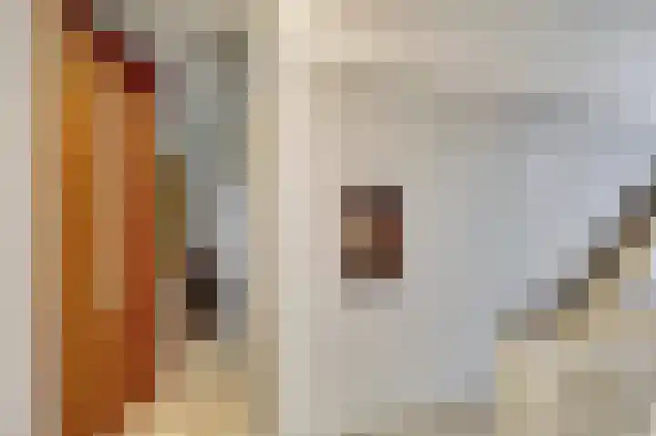 Laan van Nieuw-Oost-Indië 53 Den Haag thumbnail 4