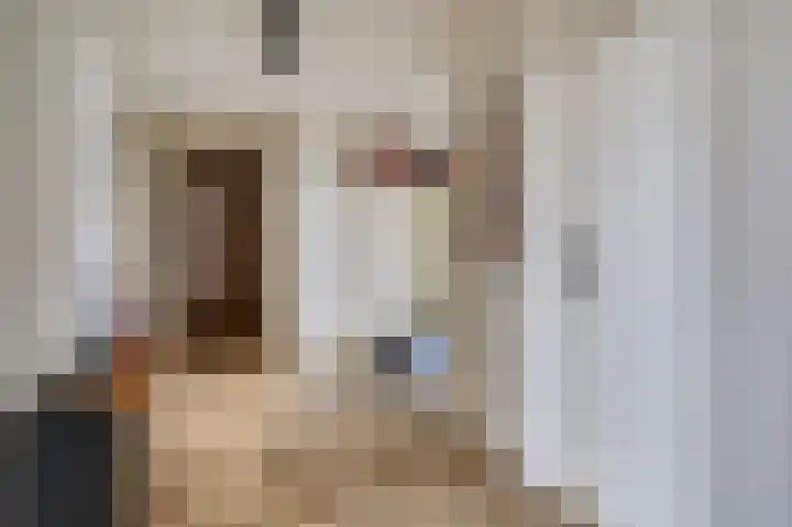 Laan van Nieuw-Oost-Indië 53 Den Haag thumbnail 5