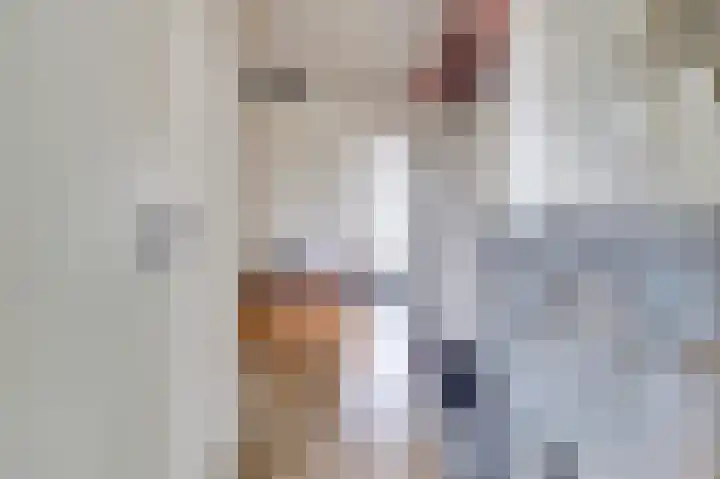 Laan van Nieuw-Oost-Indië 53 Den Haag thumbnail 7