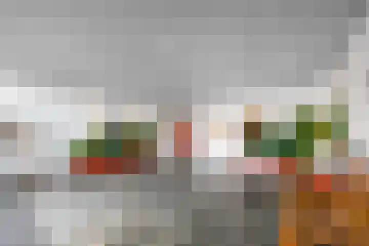 Laan van Nieuw-Oost-Indië 97 Den Haag thumbnail 30