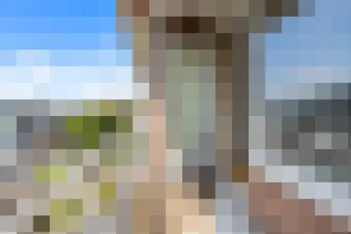 Laan van Nieuw Oosteinde 112 A Voorburg thumbnail 13