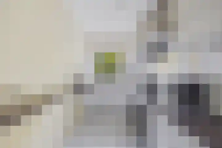Laan van Nieuw Oosteinde 112 A Voorburg thumbnail 14