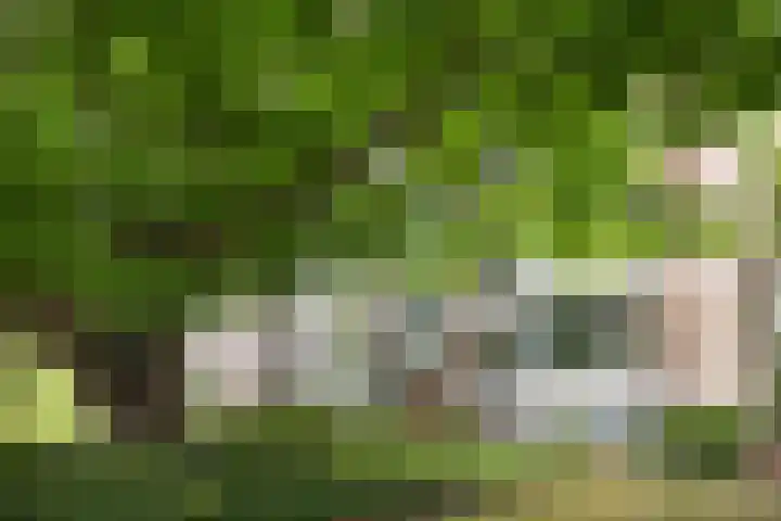 Laan van Nieuw Oosteinde 119 D Voorburg thumbnail 20