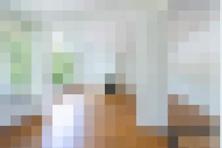 Laan van Nieuw Oosteinde 119 D Voorburg thumbnail 7