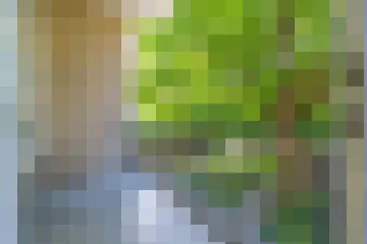 Laan van Nieuw Oosteinde 119 D Voorburg thumbnail 8