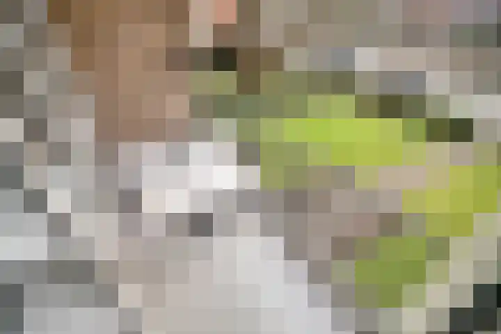 Laan van Nieuw Oosteinde 121 D Voorburg thumbnail 11