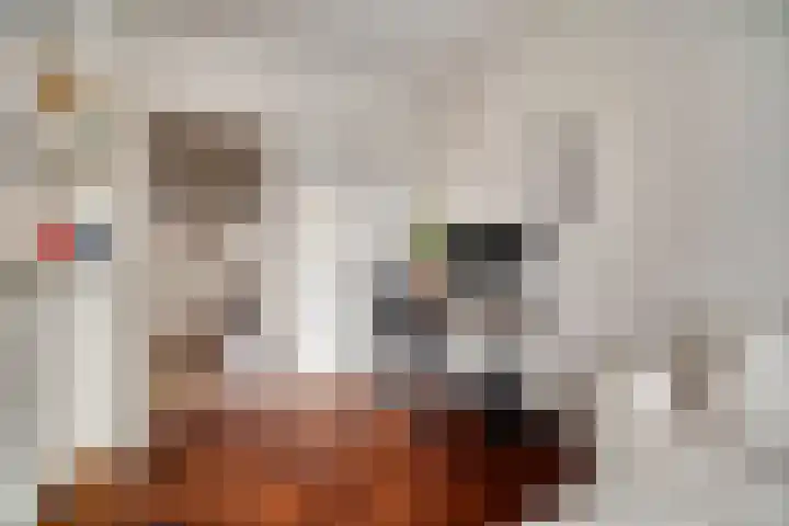 Laan van Nieuw Oosteinde 121 D Voorburg thumbnail 26