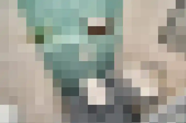 Laan van Nieuw Oosteinde 121 D Voorburg thumbnail 29