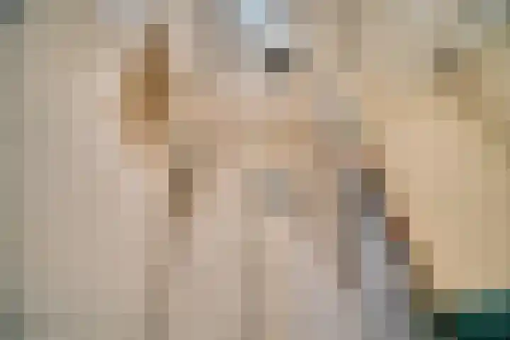 Laan van Nieuw Oosteinde 121 D Voorburg thumbnail 32