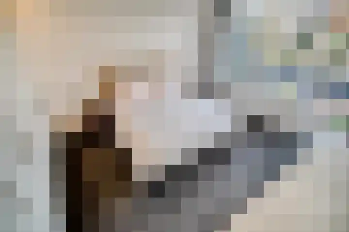 Laan van Nieuw Oosteinde 121 D Voorburg thumbnail 33