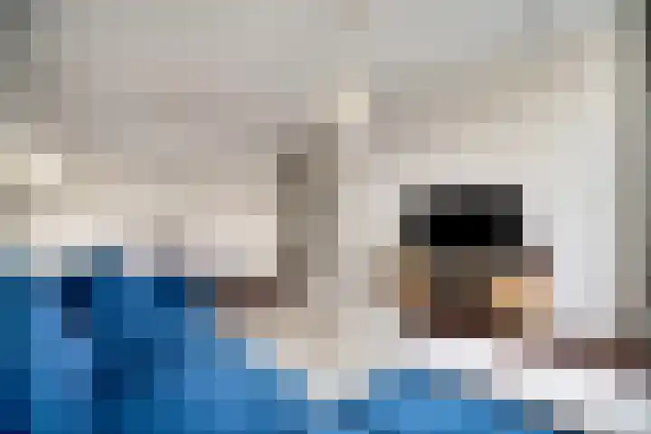 Laan van Nieuw Oosteinde 121 D Voorburg thumbnail 6