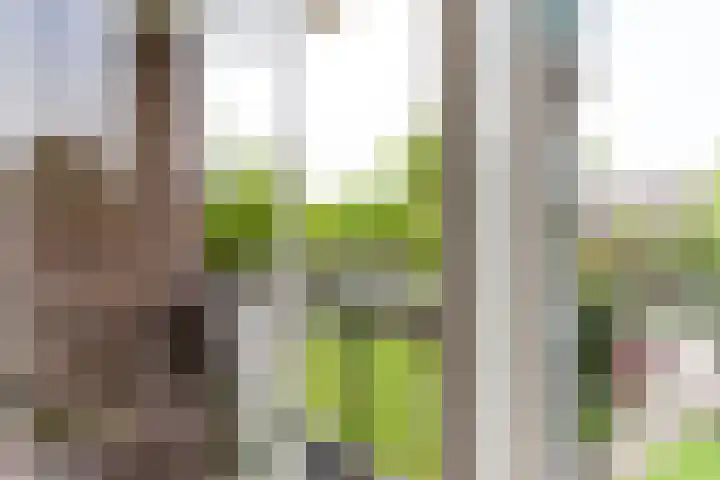 Laan van Nieuw Oosteinde 123 D Voorburg thumbnail 16
