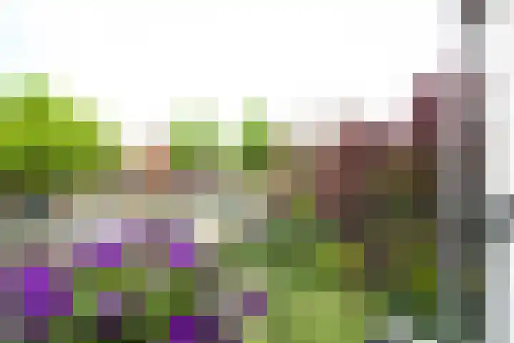 Laan van Nieuw Oosteinde 123 D Voorburg thumbnail 17