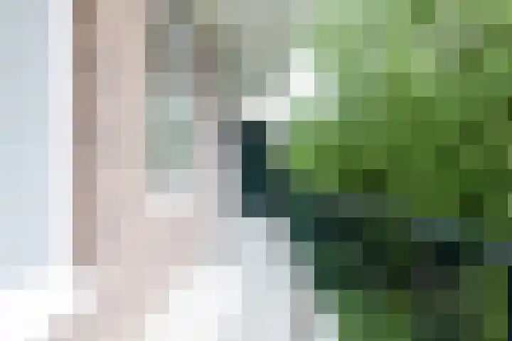 Laan van Nieuw Oosteinde 123 D Voorburg thumbnail 21