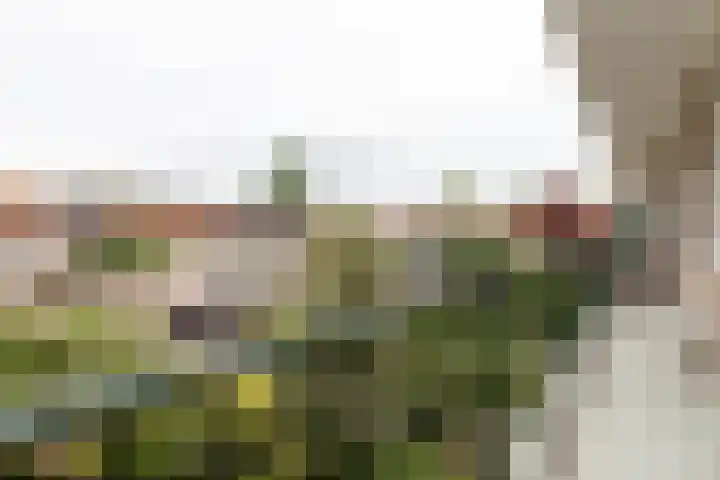 Laan van Nieuw Oosteinde 123 D Voorburg thumbnail 22