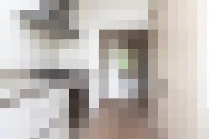 Laan van Nieuw Oosteinde 123 D Voorburg thumbnail 23