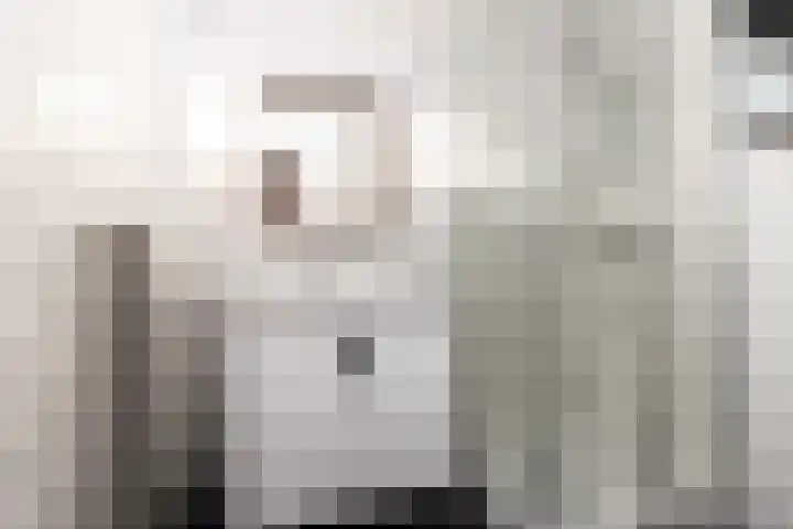 Laan van Nieuw Oosteinde 123 D Voorburg thumbnail 29
