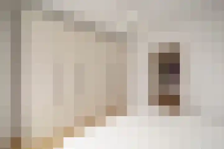 Laan van Nieuw Oosteinde 132 Voorburg thumbnail 14