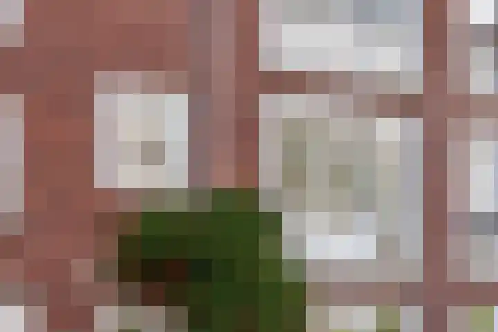Laan van Nieuw Oosteinde 132 Voorburg thumbnail 18