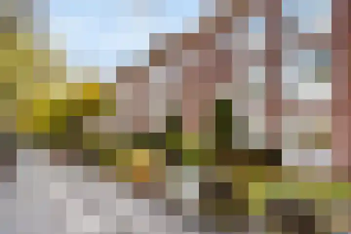 Laan van Nieuw Oosteinde 132 Voorburg thumbnail 20