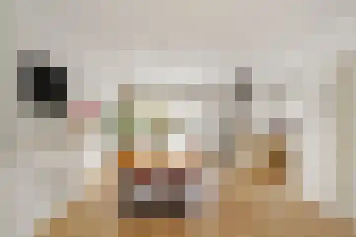 Laan van Nieuw Oosteinde 132 Voorburg thumbnail 8