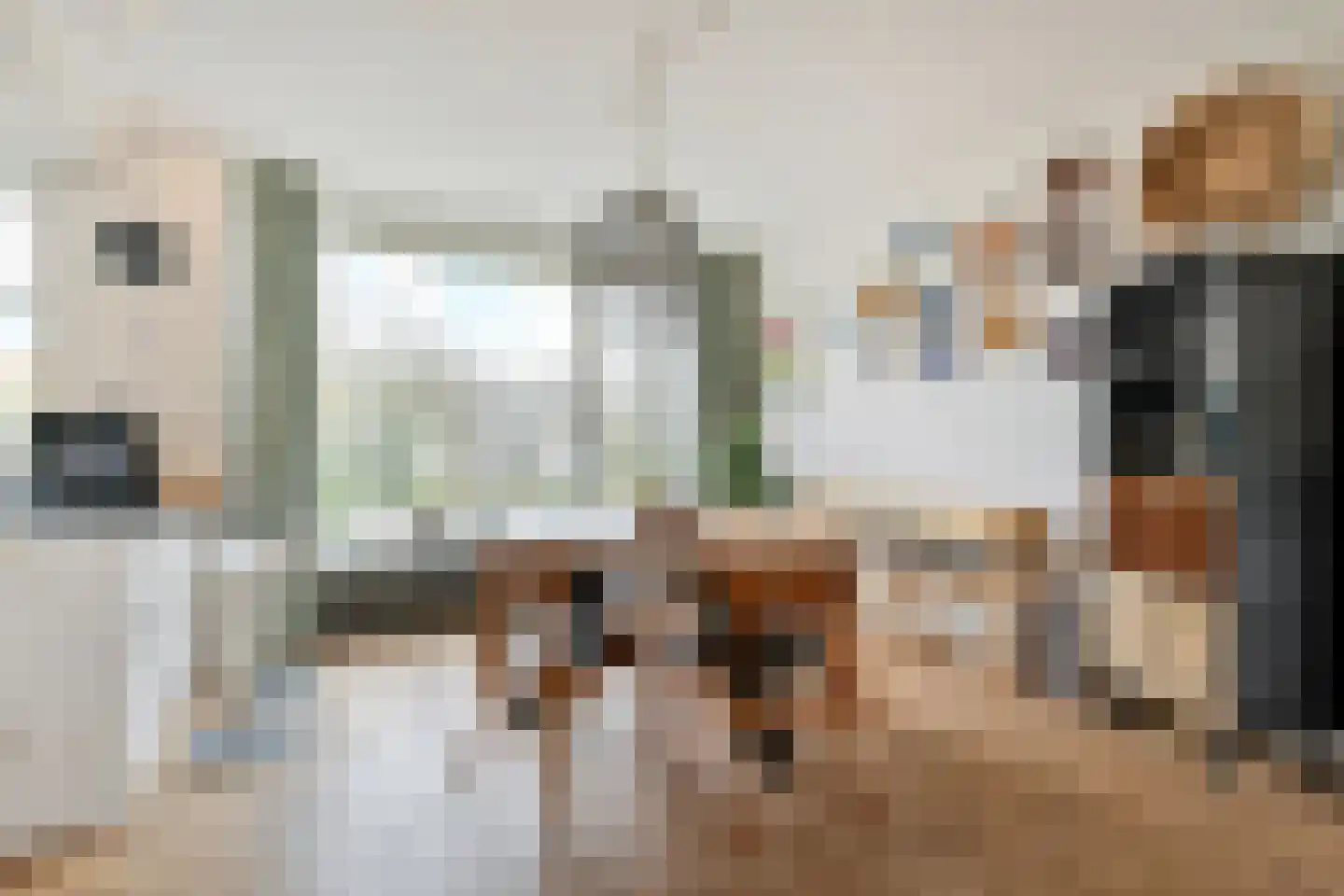 Laan van Nieuw Oosteinde 154 Voorburg thumbnail 18