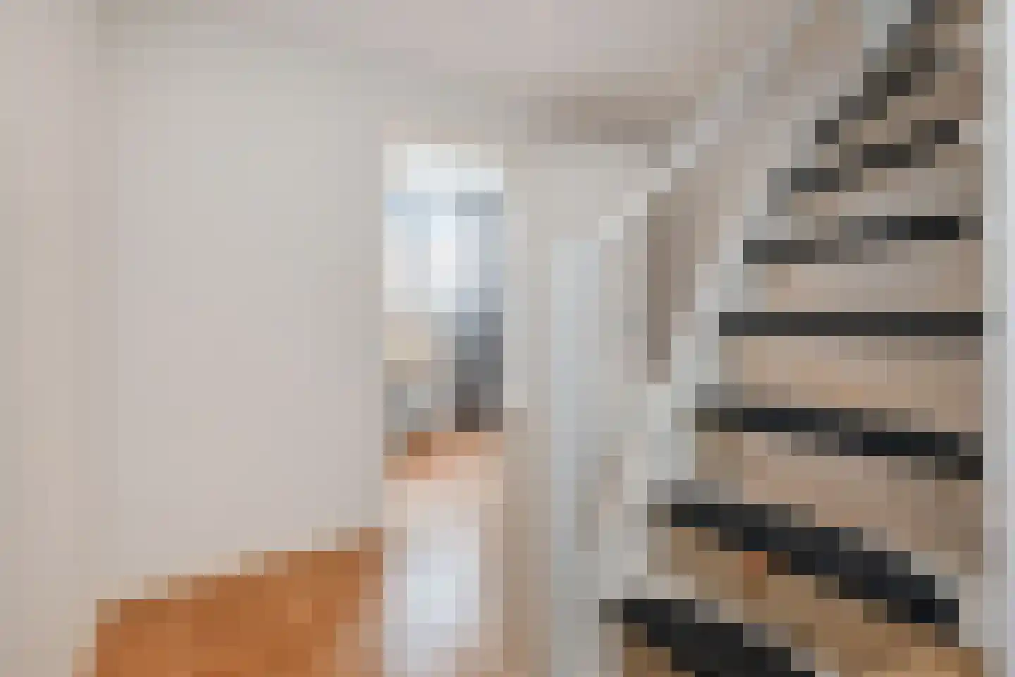 Laan van Nieuw Oosteinde 154 Voorburg thumbnail 26