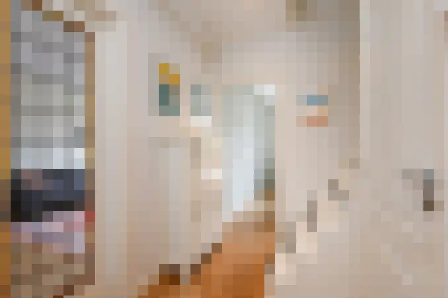 Laan van Nieuw Oosteinde 154 Voorburg thumbnail 9