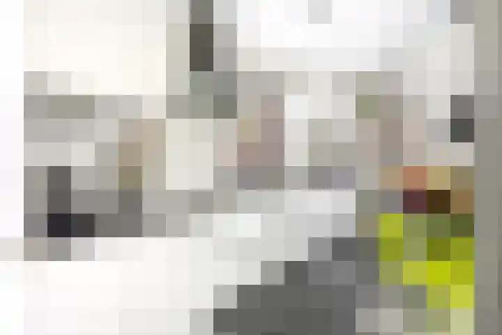 Laan van Nieuw Oosteinde 16 Voorburg thumbnail 16