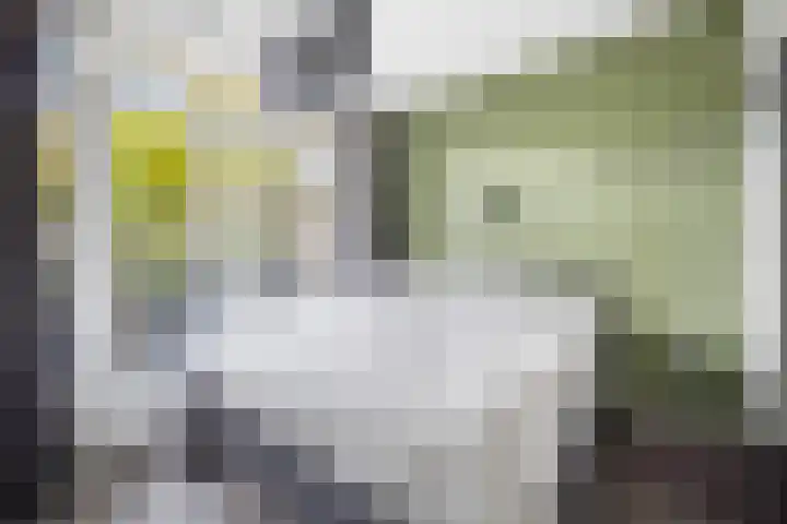 Laan van Nieuw Oosteinde 16 Voorburg thumbnail 22