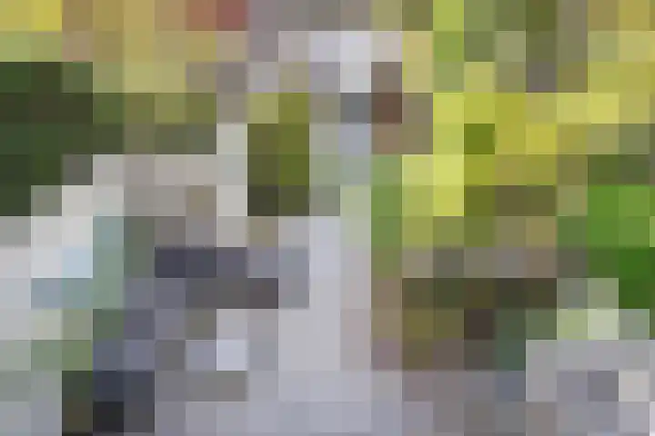 Laan van Nieuw Oosteinde 16 Voorburg thumbnail 27