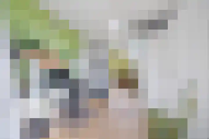 Laan van Nieuw Oosteinde 16 Voorburg thumbnail 28