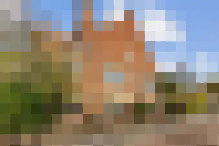 Laan van Nieuw Oosteinde 16 Voorburg thumbnail 31